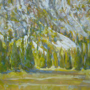 “Al parco nazionale Puez-Odle” - olio su tela cm. 50 x 40 
