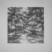 “Passeggiando nel parco” - carboncino su carta cm. 29,7 x 41