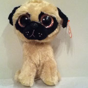 Pugsly sparkly eyes: "Lift me up and give me a hug, and you'll make me a happy pug!"