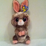 Woody: "Everyone likes my soft brown fur, and I hop so fast I'm just a blur!"
