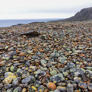 Steine mit 200 Jahre alten Flechten