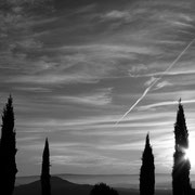 Les cyprès du château - Saint-Saturnin-les-Apt, Provence (Vaucluse), Décembre 2011