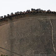 Tauben auf dem Dach - auf dem grossen Dach der Kirche hat es noch einige mehr