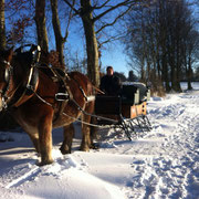 Pferdeschlitten beim Urlaub auf dem Bauernhof NRW im Winter