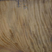 Parota Table top slabs, huge log, withs of 2 m!