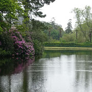 l'étang du château