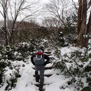 尾根コースの階段