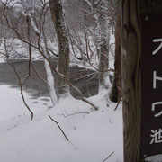 オトワ池