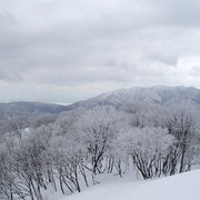 山頂付近の雪原