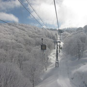 昨日からの雪で樹氷がきれいです