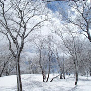 下山途中の雪景色