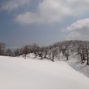 こっちも