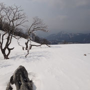 昨年は霧氷が素晴らしかったところ