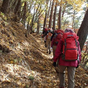 紅葉の山道