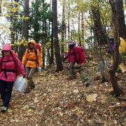 紅葉の絨毯を踏みしめて下山