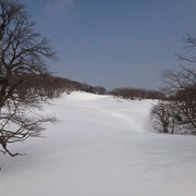 ここ、ゲレンデやで!