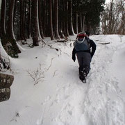 500mを超えると完全な雪山