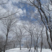 下山途中の雪景色