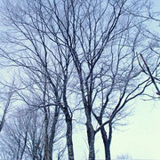 雪洞の周りの景色です