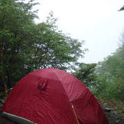 my home