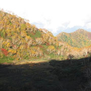 長助池