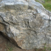 Metatektischer Cordierit-Sillimanit-Gneis in Waldhäuser am Lusen