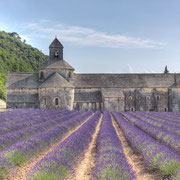 Abbaye de Sénanque