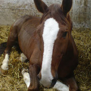 Unser "Riesenbaby"