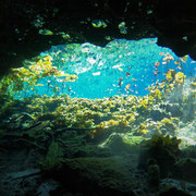 Cenote Nicte Ha