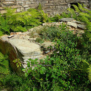 Chapelle Corse à restaurer San Quilico à Olcani