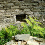 Chapelle Corse à restaurer San Quilico à Olcani