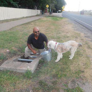 2019 01 26 Working Bee:  Anton & Peggy Motha. Peggy is a qualified sniffer dog, specialising in wads, bones and free food. 