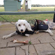 2019 10 19 Peggy Motha won D Grade. Check out her prize.