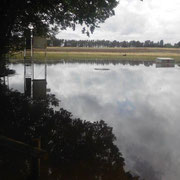 2018 12 14  The swimming lagoon beside Traphouse No. 3. We're installing a diving board on the skeet high house.