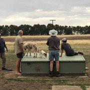 2018 12 07 Anton Motha, Col Crittenden, Graham Coyle & Matt Motha testing the newly ACTA regs-compliant Traphouse no.3