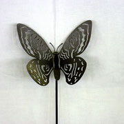 Schmetterlinge