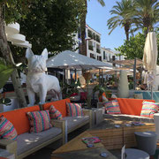 Ibiza © Tiegel-Reisen
