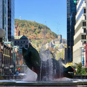 Montreal © Tiegel-Reisen