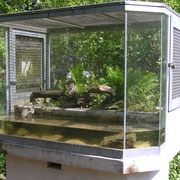 Aquaterrarium für Grasfrosch und Erdkröte