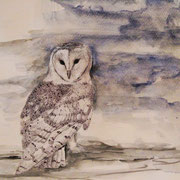 Barn Owl, balpointpen and watercolour on paper