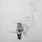 Hummingbird, balpoint pen and watercolour on paper (sold)