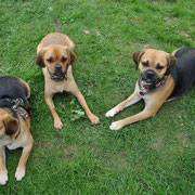 Queeny, Frieda & Stina