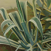 Succulent. Óleo sobre madera / Oil on table, 20 x 20 cm, 2005