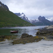 Ile de Senja - Mefjordbotn - Paysage magnifique -