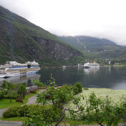 Homlong - Vue sur le fjord Geiranger -