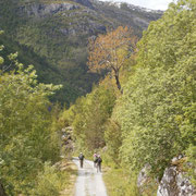 Retour vers la vallée -