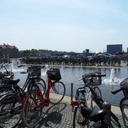 Copenhague - Capitale du vélo -