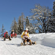 Flachau winteractiviteiten - rodelen