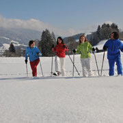 Flachau winteractiviteiten - sneeuwschoenen