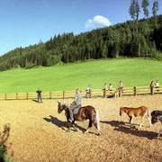 Vakantie op de boerderij Flachau – paard rij plaats